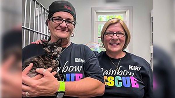 Kitten rescue highlights the need for compassion