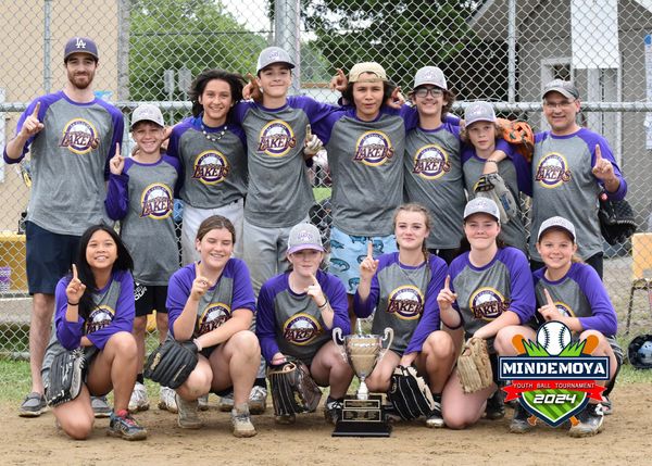 Youth baseball champions make for a successful tournament