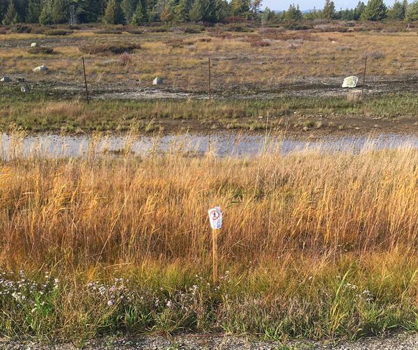 Eco-consultant shocked that Roundup used ineffectively, without notice