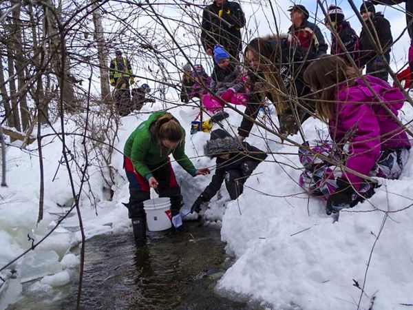 LCPS students release 8,000 brook trout into the wild