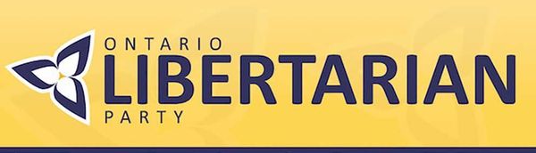 Libertarian candidate chosen
