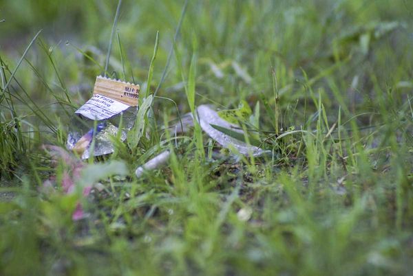 Plastic pollution in Lake Huron: Part II of a series
