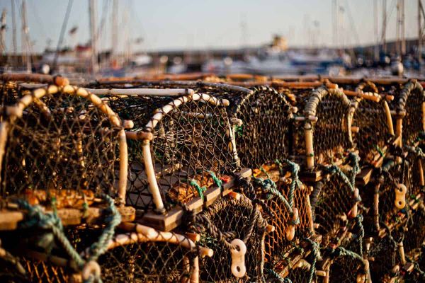 PRESS RELEASE: Anishinabek Nation in solidarity with Mi’kmaw fishers