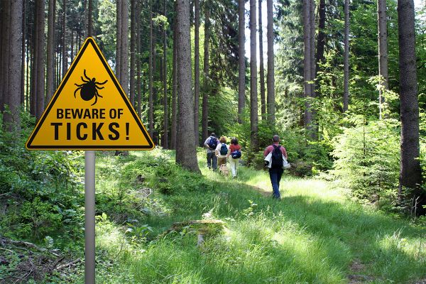 Lyme disease risk steadily rising
