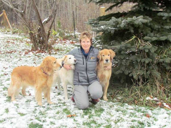 Manitoulin Pet Rescue a co-ordinated Island-wide effort