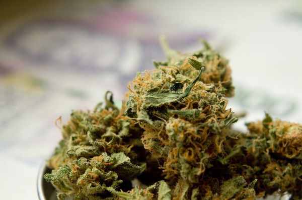 Burpee-Mills opts in to allow cannabis retails stores