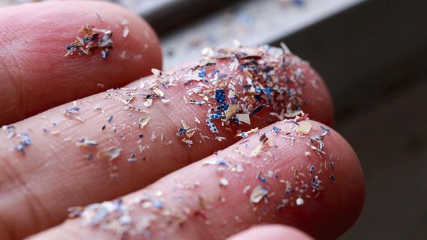 Lake Huron microplastics still trending high say Coast Watchers