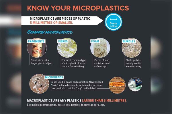 Great Lakes plastic pollution topic of Manitoulin Nature Club meeting