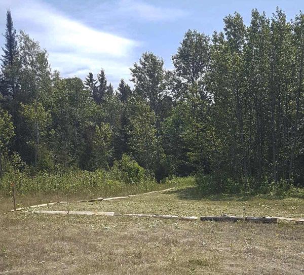 Members of the Michaels Bay Historical Society continue to work diligently to clear the area of the old Michael’s Bay Townsit