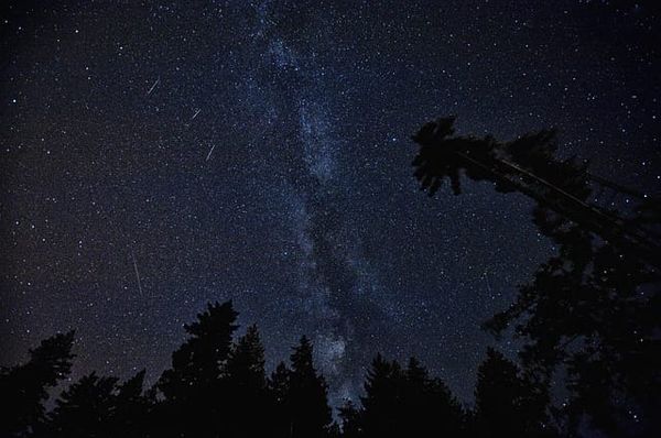 Stargazing party at Gordon’s Park attracts awe-inspired crowds