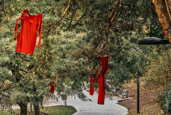 ‘Red Alert’ program proposed to help missing and murdered Indigenous women, girls and two-spirit people (MMIWG2S+)