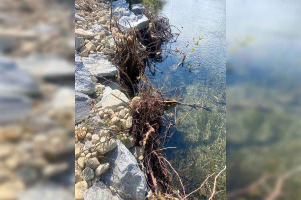 Manitoulin Streams funded for major stream improvements