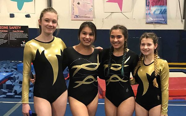 MSS gymnastics team posts very impressive results at NOSSA championship