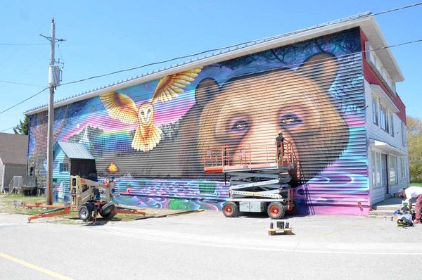 Mutchmor Galleries a welcome addition to the Prov Bay landscape