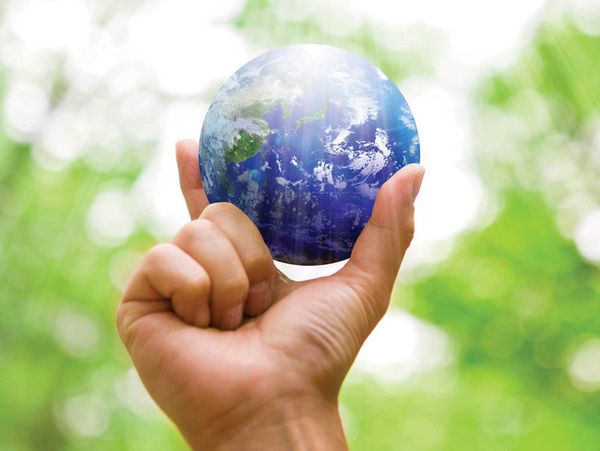 Rainbow District School Board declares climate emergency and commits  to further action