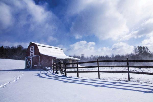 Predator control issue raised at Cattlemen’s annual meeting