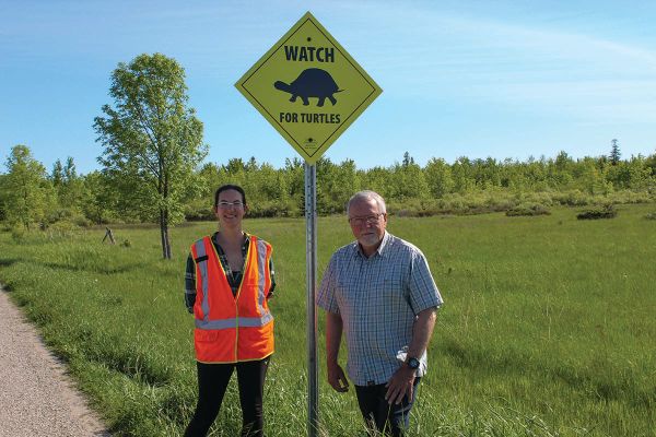 New Island organization dedicated to turtle survival