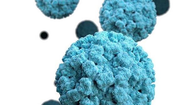 Help stop the spread of Norovirus