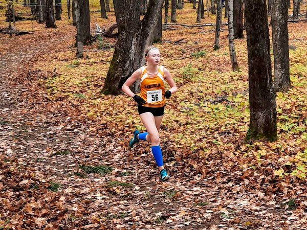MSS harriers win NOSSA, now OFSSA-bound