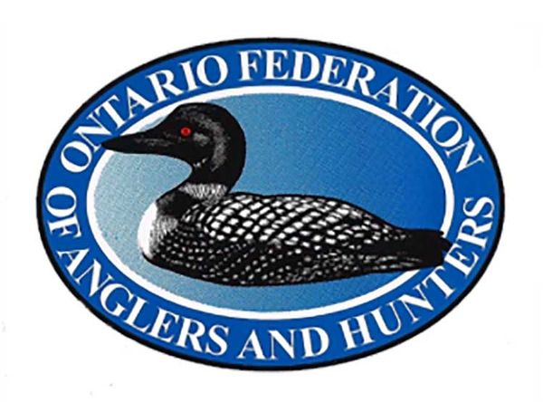 Try Fishing for Free During Licence-Free Days, July 2-10