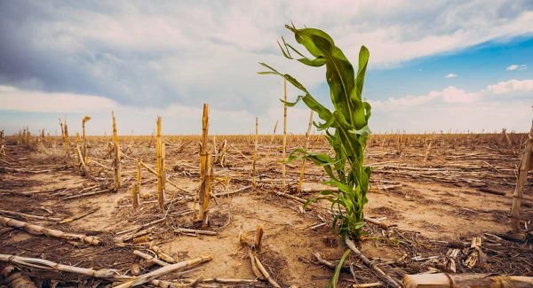 Ontario climate study predicts dire effects; senior author forecasts common-sense outcome