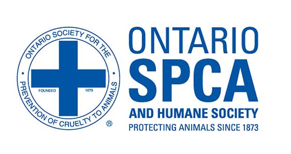Pet rescue sends donations for Fort McMurray SPCA