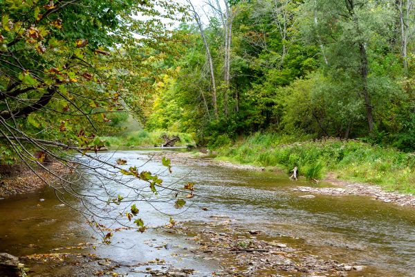 Ontario Opening Provincial Parks and Conservation Reserves