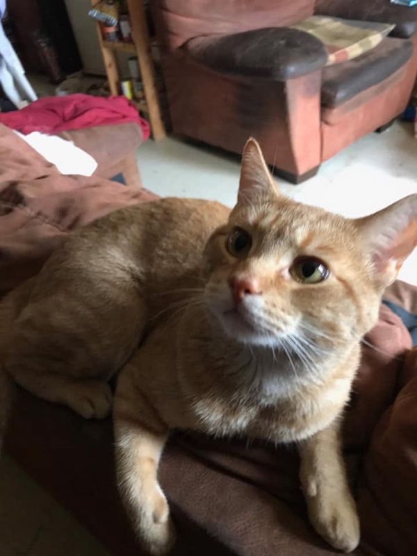 Jason is currently looking for a home