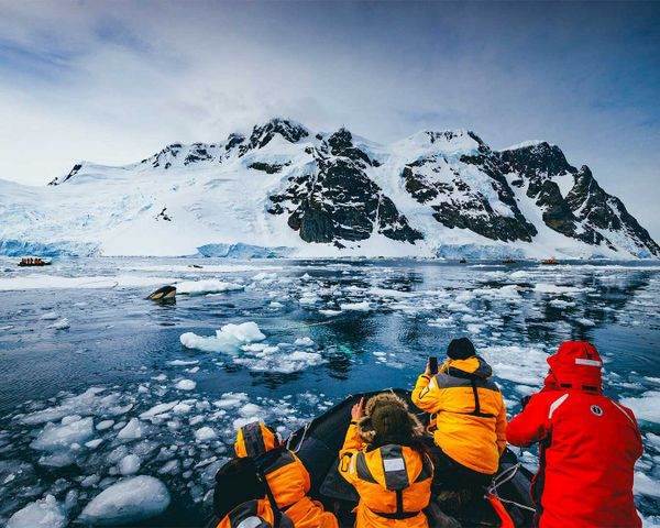 Island photographer to lead Antarctic trek