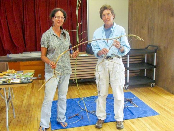 Foremost phragmites expert gives talk in Providence Bay
