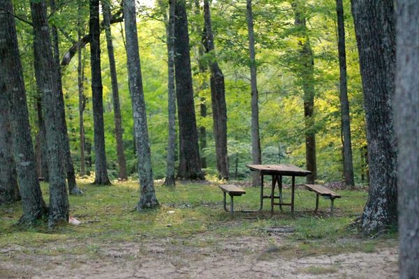 Tax hikes could be devastating to private Island campgrounds