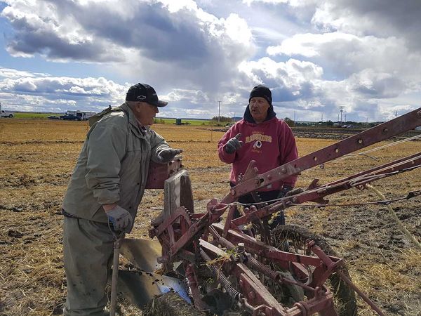 Island plow jockeys have good showing at IPM
