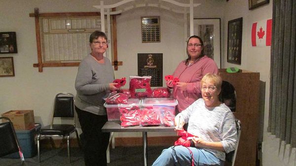 Nearly 800 poppies have been created for Legion project