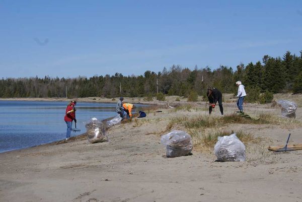 Providence Bay Beach cleanup permit is being put to good use
