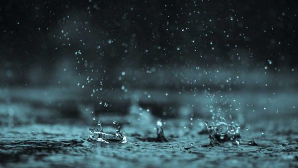Special weather statement: Up to 50 mm of rain expected by Wednesday morning