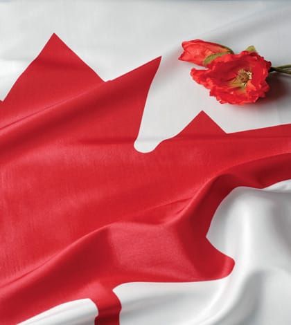 Veteran’s daughter thankfully wears poppy with pride