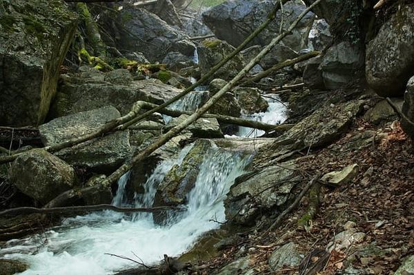 Watershed Conditions: Special caution is urged around rivers and streams