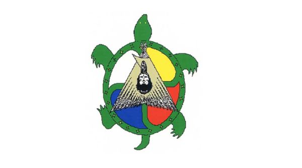 Sheguiandah election