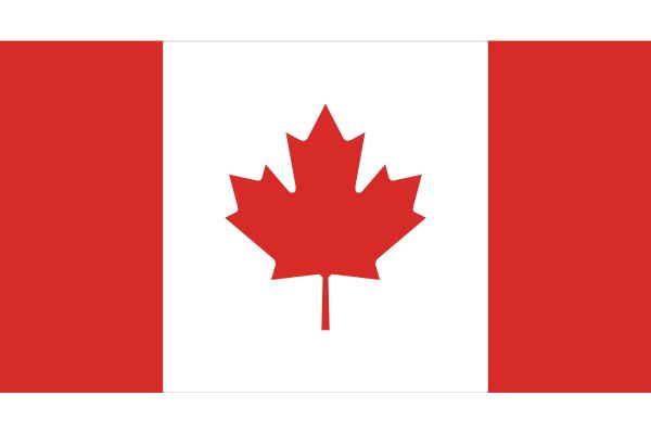 Northeast Town passes motion to buy Canadian for municipality