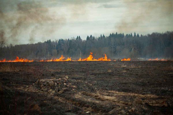 Island fire officials warn of dry conditions, grass fire danger