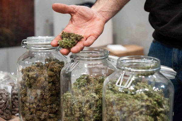 Trial for 91���˵���s unregulated cannabis stores could have larger impacts