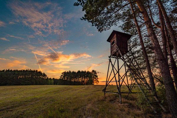 It’s deer season again: a short story for hunting week