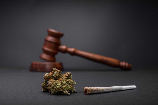 Birch Island plebiscite narrowly approves local sales of cannabis