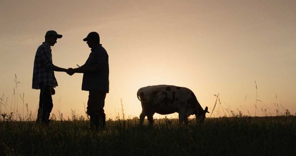 Federal and provincial governments invest $6 million into sustainable agriculture