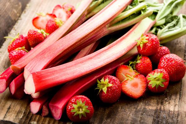 Recipes from Rose’s Kitchen: Garlic Scape Dressing and Strawberry Rhubarb Crisp