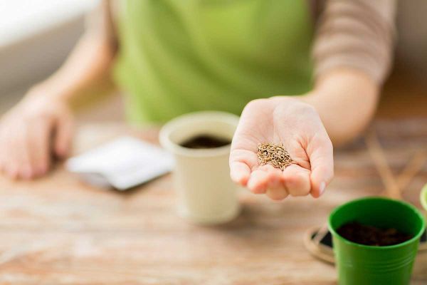 Big Wild Year couple to give keynote at Debaj seed swap
