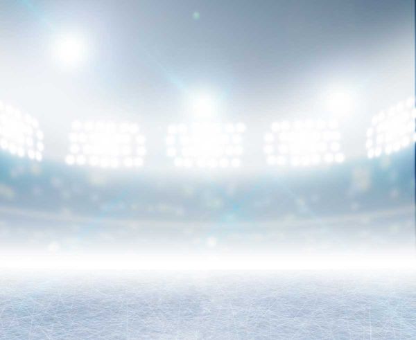 Town applies for federal funding for arena renovations