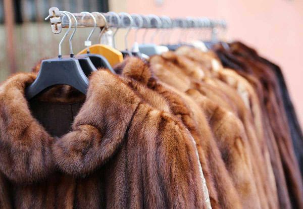 North Bay’s Fur Harvester Auction Inc. receives coveted Furmark certification