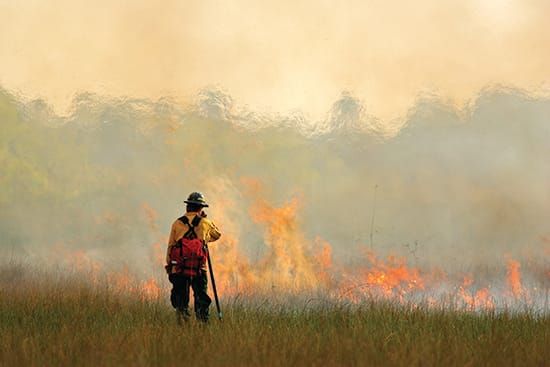 Wildfire season is officially underway in Ontario