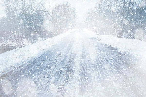 Pedestrian and dog hit  in Saturday snowstorm
